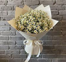 Букет цветов из:  Ромашки в Мишкино