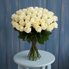 Букет 51 Белая роза Эдлесс Лав #REPLACE_PRED# Мишкино