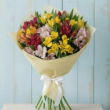 Букет цветов из:  Альстромерии #REPLACE_PRED# Мишкино