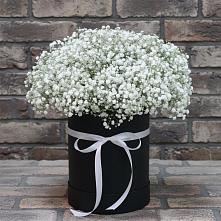 Цветочная композиция из Гипсофила в шляпной коробке в Мишкино